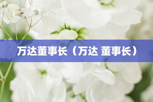 万达董事长（万达 董事长）