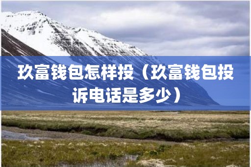 玖富钱包怎样投（玖富钱包投诉电话是多少）