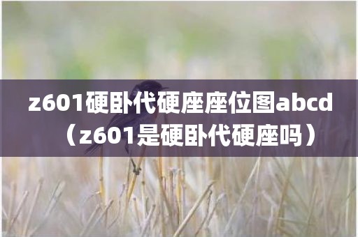 z601硬卧代硬座座位图abcd（z601是硬卧代硬座吗）