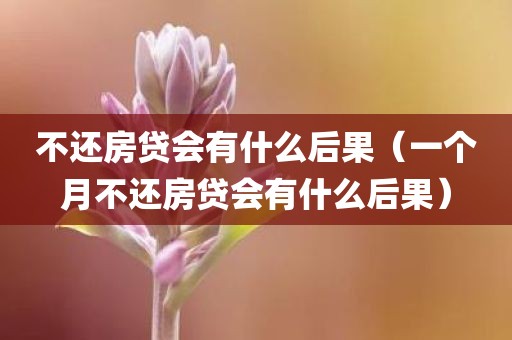 不还房贷会有什么后果（一个月不还房贷会有什么后果）