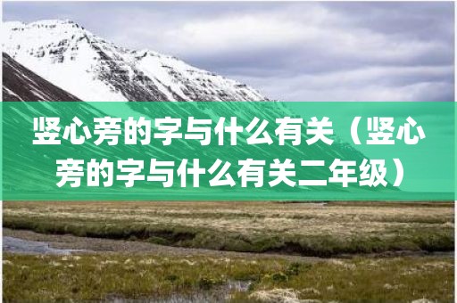 竖心旁的字与什么有关（竖心旁的字与什么有关二年级）