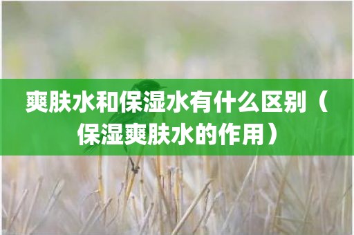 爽肤水和保湿水有什么区别（保湿爽肤水的作用）