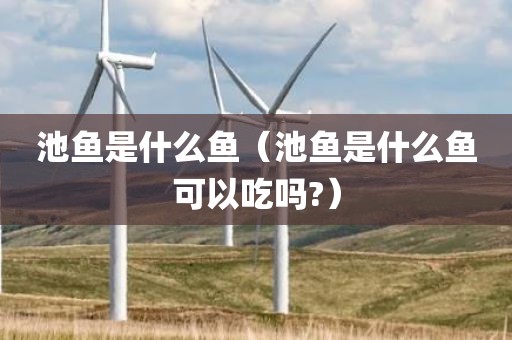 池鱼是什么鱼（池鱼是什么鱼可以吃吗?）