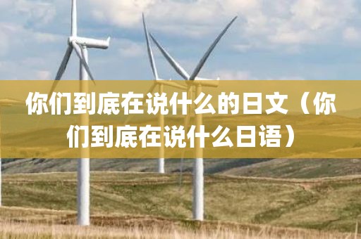 你们到底在说什么的日文（你们到底在说什么日语）