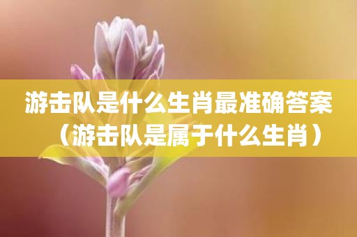 游击队是什么生肖最准确答案（游击队是属于什么生肖）