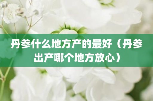 丹参什么地方产的最好（丹参出产哪个地方放心）