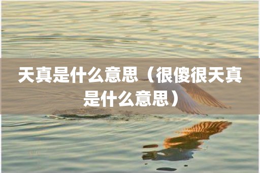天真是什么意思（很傻很天真是什么意思）