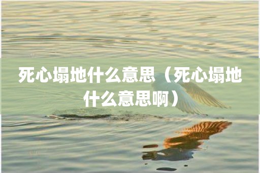 死心塌地什么意思（死心塌地什么意思啊）