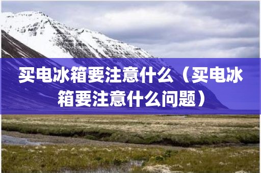 买电冰箱要注意什么（买电冰箱要注意什么问题）