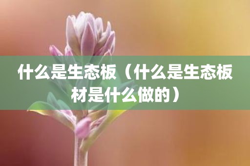 什么是生态板（什么是生态板材是什么做的）