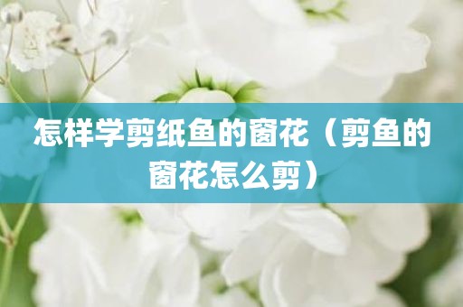 怎样学剪纸鱼的窗花（剪鱼的窗花怎么剪）