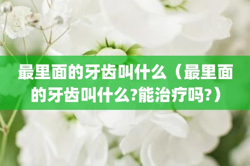 最里面的牙齿叫什么（最里面的牙齿叫什么?能治疗吗?）