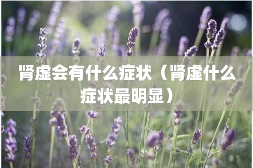 肾虚会有什么症状（肾虚什么症状最明显）