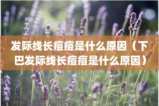 发际线长痘痘是什么原因（下巴发际线长痘痘是什么原因）