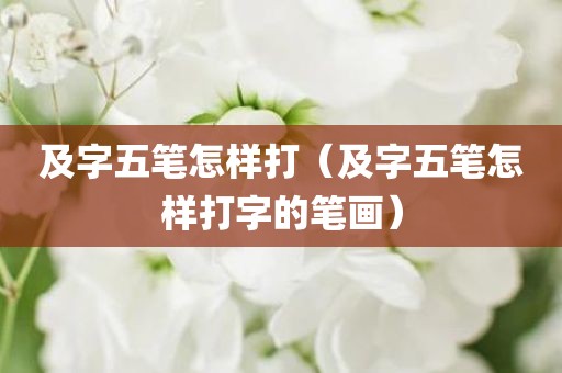 及字五笔怎样打（及字五笔怎样打字的笔画）