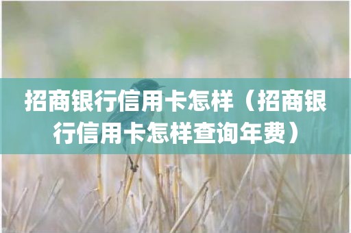 招商银行信用卡怎样（招商银行信用卡怎样查询年费）