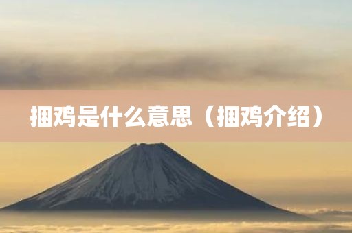 捆鸡是什么意思（捆鸡介绍）