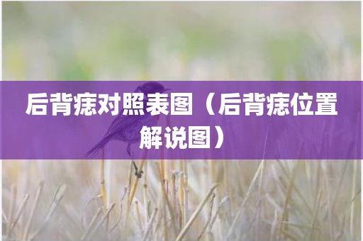后背痣对照表图（后背痣位置解说图）