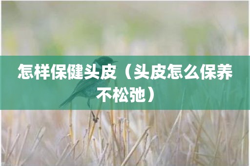 怎样保健头皮（头皮怎么保养不松弛）