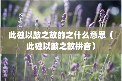 此独以跛之故的之什么意思（此独以跛之故拼音）