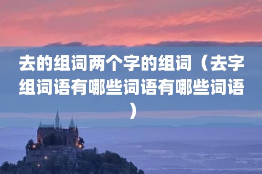 去的组词两个字的组词（去字组词语有哪些词语有哪些词语）