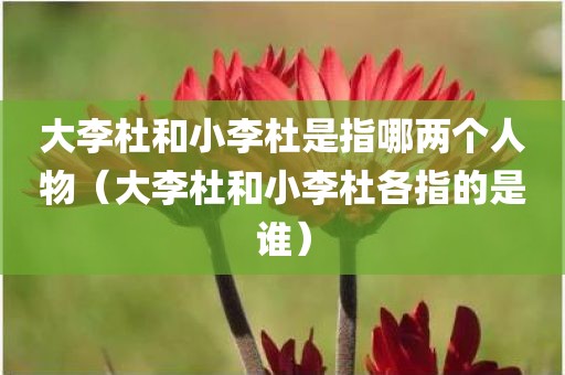 大李杜和小李杜是指哪两个人物(大李杜和小李杜各指的是谁) 大李杜和小李杜是指哪两个人物(大李杜和小李杜各指的是谁)