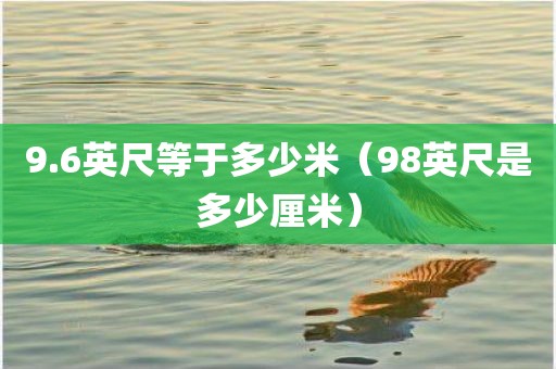 9.6英尺等于多少米（98英尺是多少厘米）