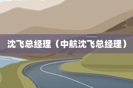 沈飞总经理(中航沈飞总经理)
