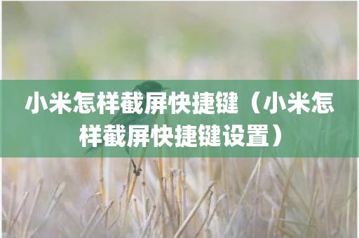 小米怎样截屏快捷键（小米怎样截屏快捷键设置）