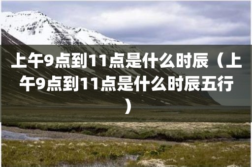 上午9点到11点是什么时辰（上午9点到11点是什么时辰五行）