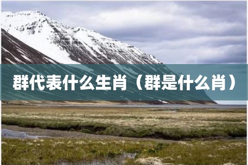 群代表什么生肖（群是什么肖）