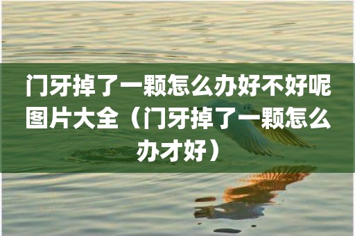 门牙掉了一颗怎么办好不好呢图片大全(门牙掉了一颗怎么办才好)