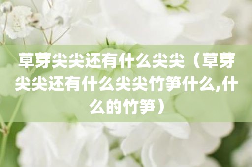 草芽尖尖还有什么尖尖（草芽尖尖还有什么尖尖竹笋什么,什么的竹笋）