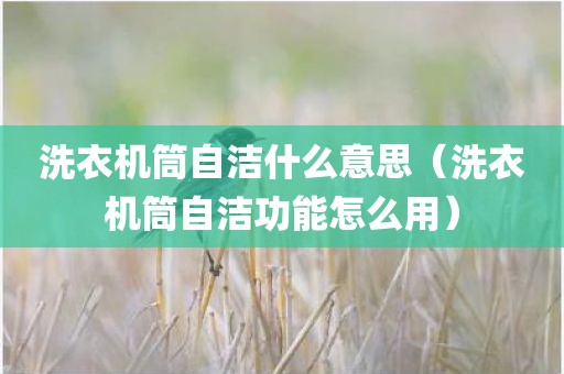 洗衣机筒自洁什么意思（洗衣机筒自洁功能怎么用）