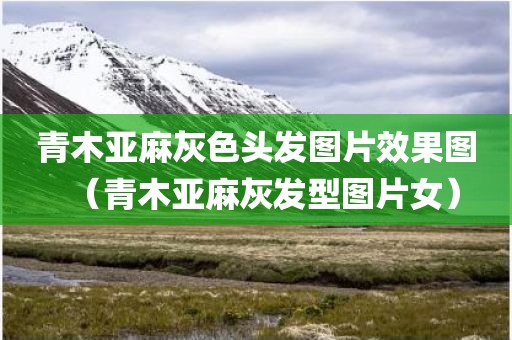 青木亚麻灰色头发图片效果图（青木亚麻灰发型图片女）