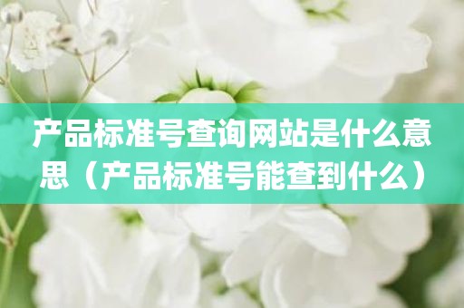 产品标准号查询网站是什么意思（产品标准号能查到什么）