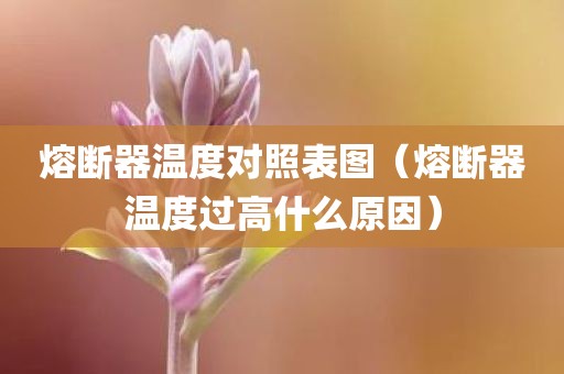 熔断器温度对照表图（熔断器温度过高什么原因）