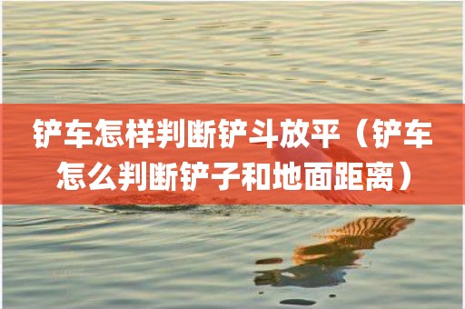 铲车怎样判断铲斗放平（铲车怎么判断铲子和地面距离）