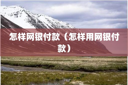 怎样网银付款（怎样用网银付款）