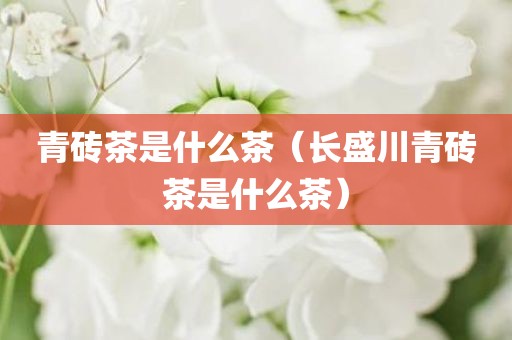 青砖茶是什么茶（长盛川青砖茶是什么茶）