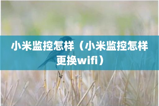 小米监控怎样（小米监控怎样更换wifi）