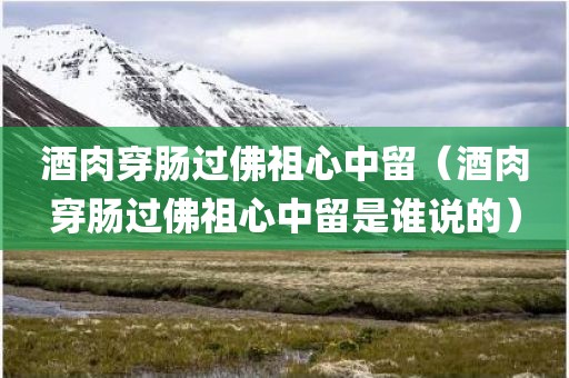 酒肉穿肠过佛祖心中留（酒肉穿肠过佛祖心中留是谁说的）