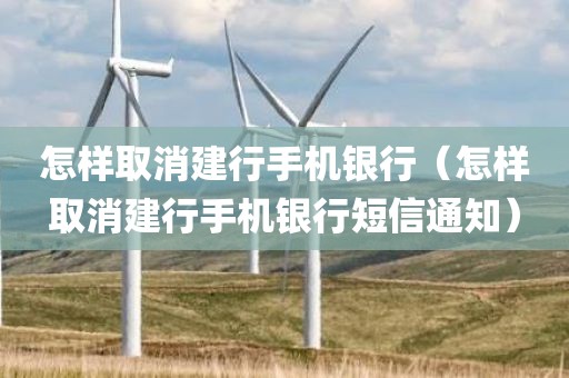 怎样取消建行手机银行（怎样取消建行手机银行短信通知）