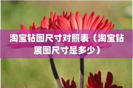 淘宝钻图尺寸对照表（淘宝钻展图尺寸是多少）