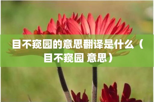 目不窥园的意思翻译是什么（目不窥园 意思）