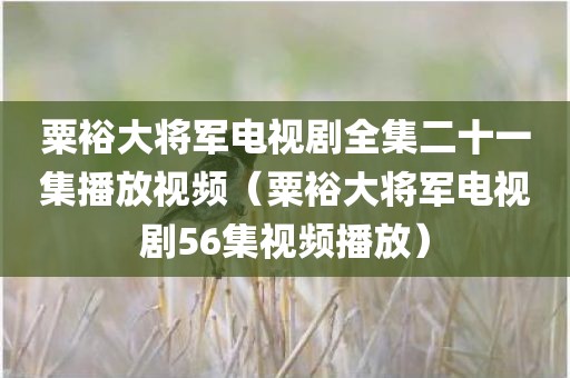 粟裕大将军电视剧全集二十一集播放视频（粟裕大将军电视剧56集视频播放）