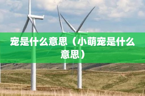 宠是什么意思（小萌宠是什么意思）
