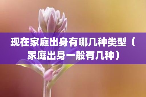 现在家庭出身有哪几种类型(家庭出身一般有几种)