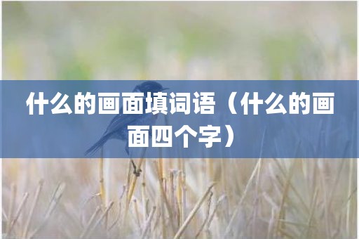 什么的画面填词语（什么的画面四个字）