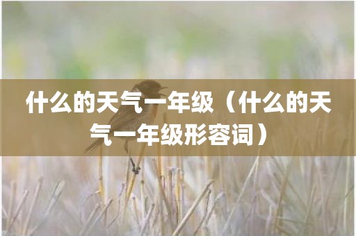 什么的天气一年级（什么的天气一年级形容词）